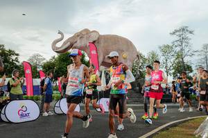 BIB: 
                            <button type="button" onclick="openModal(26528292)" class="btn btn-primary btn-sm float-right btn-popup" data-toggle="modal" data-target=".modal-high-quality">
                        <i class="fas fa-shopping-cart"></i> Add to Cart
                    </button>
                                            <button type="button" onclick="isThisMe(26528292, true)" class="btn btn-success btn-sm float-right btn-popup btn-isme hidden" data-toggle="tooltip" data-placement="bottom" title="นี่คือรูปของคุณใช่ไหม คลิกที่นี่เพื่อเอาเข้าอัลบั้ม">
                        <i class="fas fa-plus"></i> Add to album
                    </button>
                    <button type="button" onclick="isThisMe(26528292, false)" class="btn btn-warning btn-sm float-right btn-popup btn-isnotme hidden">
                        <i class="fas fa-ban"></i> Remove from album
                    </button>